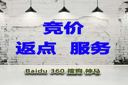百度SEO推广策略全解析：某企业从零到一的成长历程